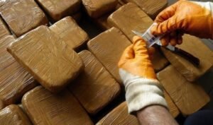 هيمنة تجار المخدرات على السوق المحلية بدار العسلوجي